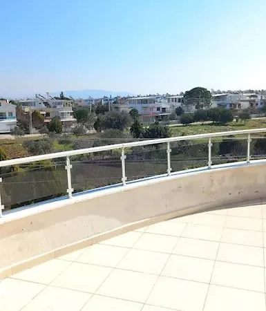 Ali ديديم
