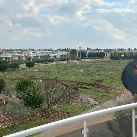 Ali فيلة ديديم